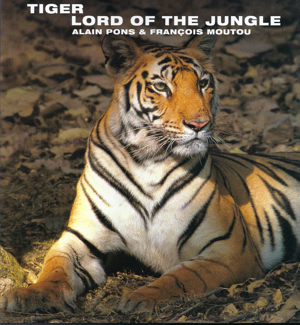 Lord_of_jungle