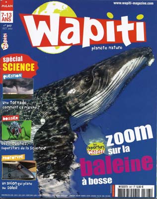 Wapiti_10_12_2