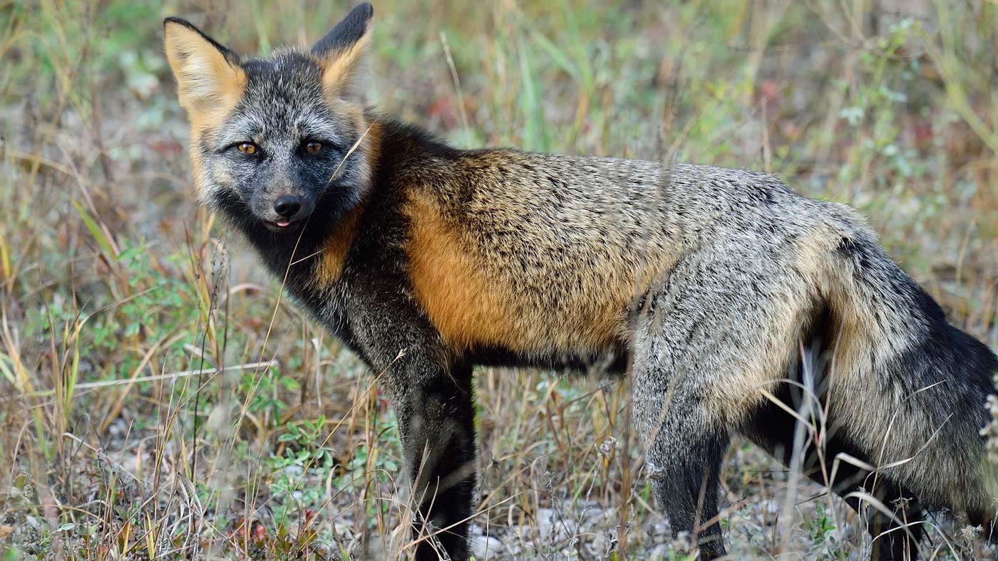 Territoires du NordOuest